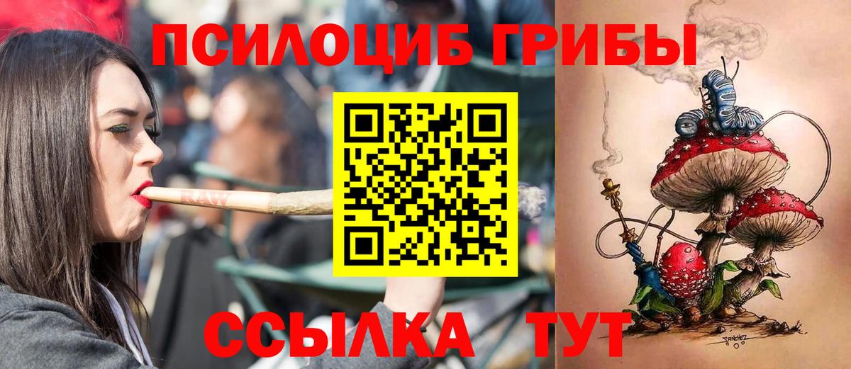 Галлюциногенные грибы Psilocybine cubensis  Псилоцибиновые грибы мицелий  Люберцы  Вход с VPN 